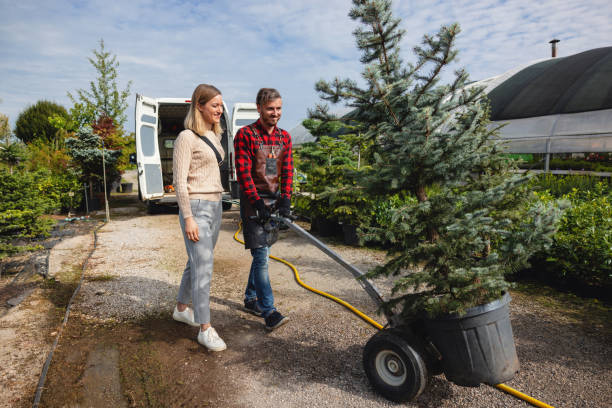 How Our Tree Care Process Works  in  Kings Park, NY